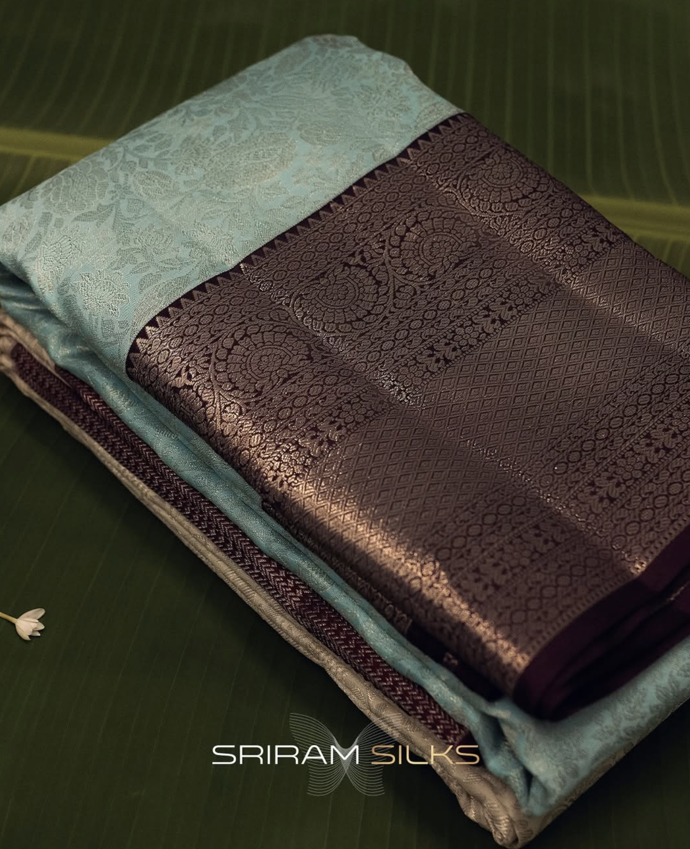 Festive Saree Collection